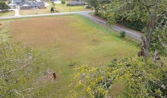 273 Holmesville Ave, Baxley, GA 31513