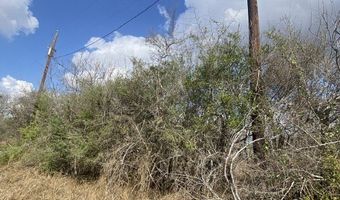 CR 151 E of CR 111, Alice, TX 78332
