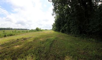 Happy Bend Road, Atkins, AR 72823