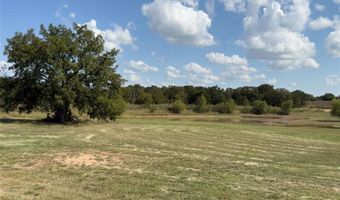 330 Rolling Ranch Blvd, Alvord, TX 76225