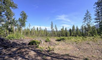 2008 SUMMIT VALLEY Rd Lot F, Addy, WA 99101