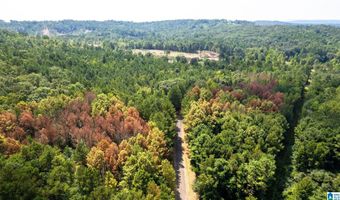62 ACRES TONEY Dr 62 ACRES, Altoona, AL 35952