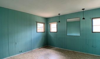 1110 HARRISON Ave, Alamo, TX 78516