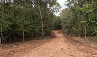 Lot # 1 Market St, Water Valley, MS 38965