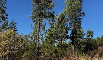 Old CC Rd, Addy, WA 99101