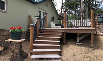 131 County Road 90, Allenspark, CO 80510