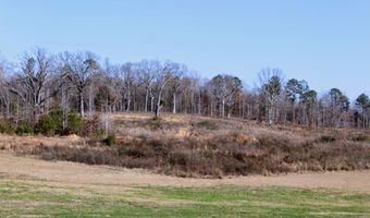 122 County Road 125, Bruce, MS 38915