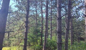 Lot 113 Beaver Lane, Arkdale, WI 54613