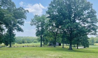 3202 OTIS PLUNK, Bethel Springs, TN 38315