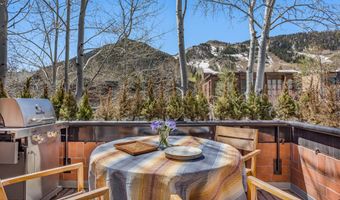 708 E Hyman Ave, Aspen, CO 81611