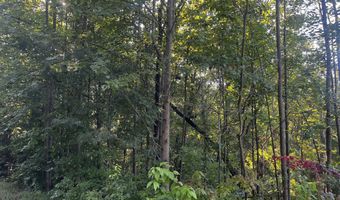 41 Planters Crk, Baldwin, GA 30511