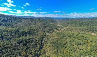 10 Dodd Rd, Barnardsville, NC 28709