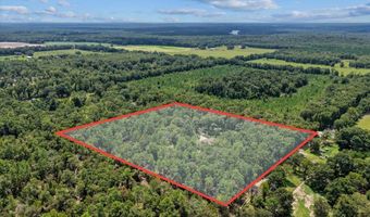 4700 55th Ave, Bell, FL 32619