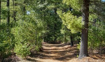 5840 Wildwood Rd, Alger, MI 48610