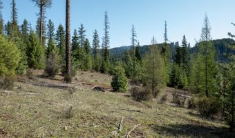 NKA 262 Ac N Side Rd, Calder, ID 83808
