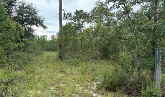 4539 NW Miller/White LN Rd, Altha, FL 32421