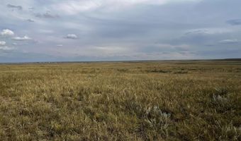 BUGGY RD, Carpenter, WY 82054