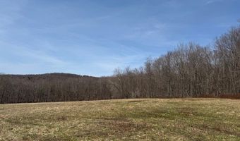 Lot 2 Doig Hollow Road, Andes, NY 13731