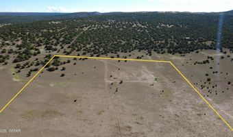 7 N CR 8171, Concho, AZ 85924