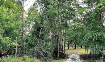 11317 NW 199TH Ave, Alachua, FL 32615