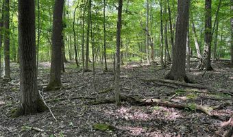 Green Road, Alfred, NY 14802