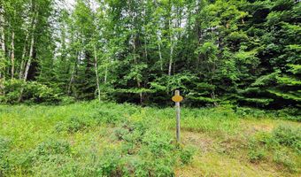 13727 Big Hawk Dr, Bigfork, MT 59911