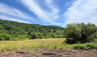 0 Woodland Hills Rd, Andes, NY 13731