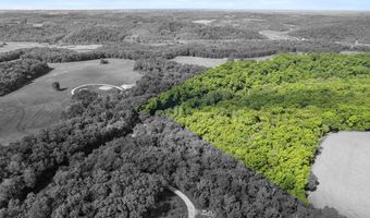 61 42 Acres Zwettler Rd, Arena, WI 53517