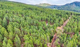 427 Pine Valley Rd, Bayfield, CO 81122