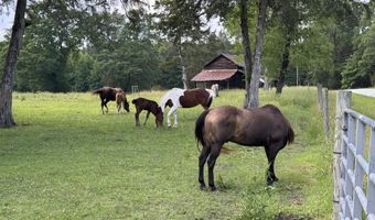 6007 Brickhouse Rd, Bahama, NC 27503
