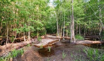 0 DM TILLMAN, Baxley, GA 31563