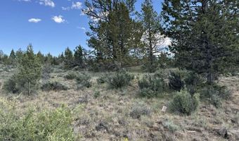 HWY 140 300, Beatty, OR 97621