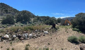 1480 WILD HORSE Run, Dyer, NV 89010