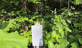 2399 Main St, Cabot, VT 05647