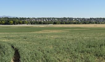 TBD W County Rd 4E, Berthoud, CO 80513