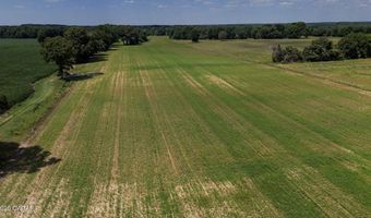 Highway 152, Alamo, TN 38001