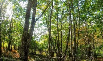 Tbd Arnett Road, Banner Elk, NC 28604