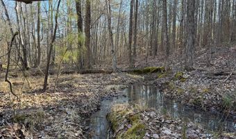 MOUNTAIN CUT RD lot D, Appomattox, VA 24522