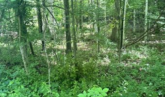 Mountain Road lot Map 25 Block A Lot 2.43 Lot Size 2.11, Chesterfield, NH 03466