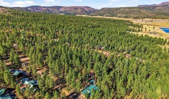30 County Road 2066, Alpine, AZ 85920