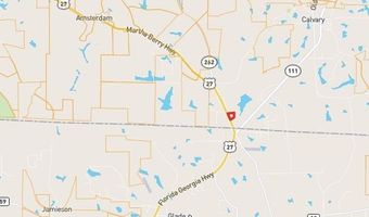 7821 Tallahassee Hwy 8.98+/- Acres, Attapulgus, GA 39815