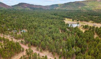 19 Hillcrest Dr, Alpine, AZ 85920