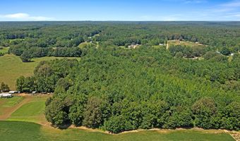 0 Cotton Grove Rd, Beech Bluff, TN 38313