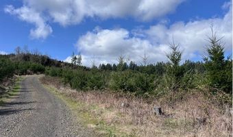 Northrup Creek Rd, Birkenfeld, OR 97016