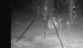 001 Farr Rd, Bolton, MS 39041