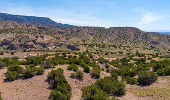 126 CR 156 A, Abiquiu, NM 87510