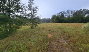 5145 County Road 232, Bell, FL 32619