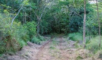 3310 WAWAE Rd, Kalaheo, HI 96741