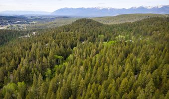 616 Ranch Rd, Bigfork, MT 59911