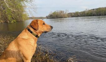 PAYNES POND RD, Arvonia, VA 23004